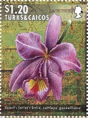 Тёркс и Кайкос - Turks and Caicos Islands (2014)