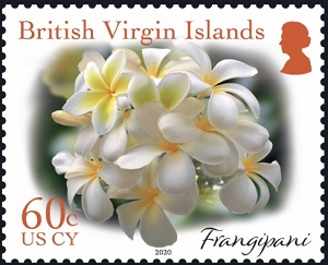 Virgin Islands 2019