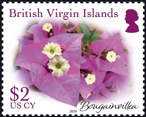 Virgin Islands 2020