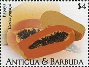 Антигуа и Барбуда - Antigua and Barbuda 2021