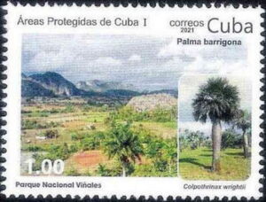 Куба - Cuba (2020) 