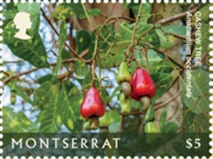 Монтсеррат - Montserrat 2018