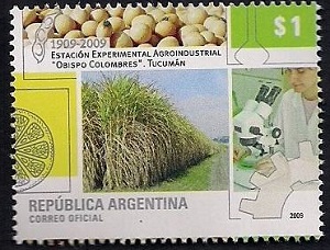 Argentina 2009