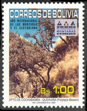 Боливия - Bolivia (P.bosseri - 2002)