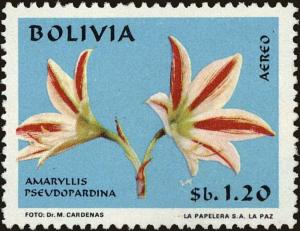 Bolivia 1971