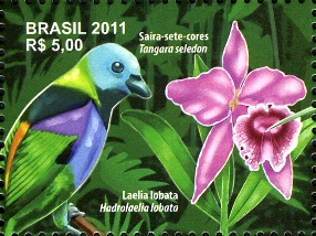 Brazil 2011