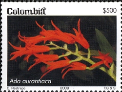 Колумбия - Columbia 2009