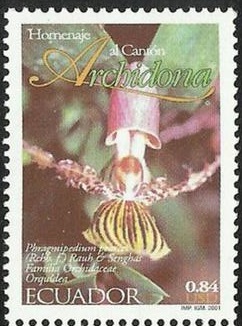 Эквадор - Ecuador (Ph.pearcei - 2001)