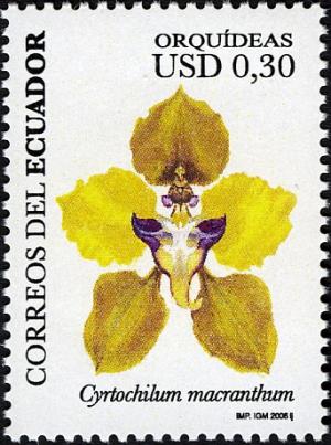 Ecuador 2006
