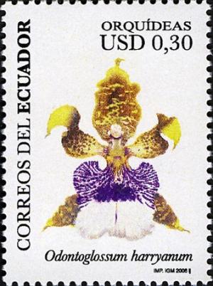 Ecuador 2006