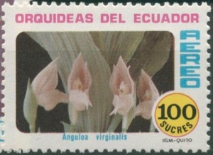Ecuador 1980