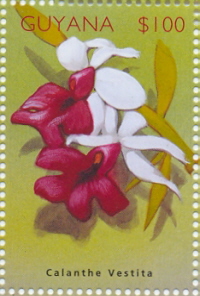 Guyana 2002
