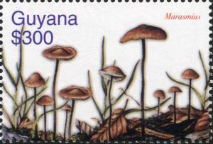 Guyana 2003