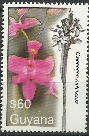Гайана - Guyana (2007)