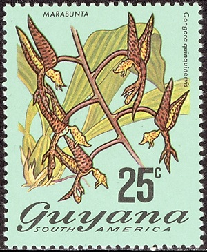 Guayana 1973