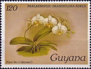 Гайана - Guyana 1985