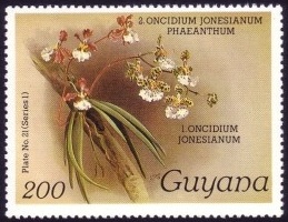 Guyana 985