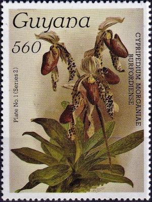 Guyana 1987