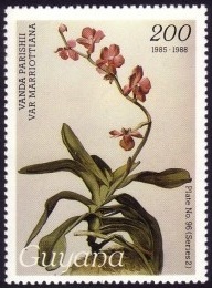 Гайана - Guyana  1988
