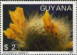 Guyana 1998