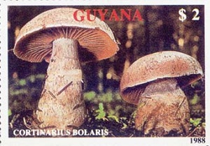 Guyana 1989