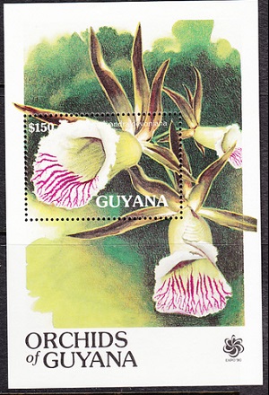 Гайана - Guyana 1990
