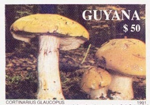 Guyana 1991
