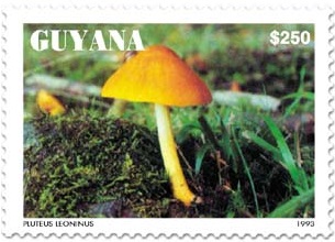 Гайана - Guyana (1993)