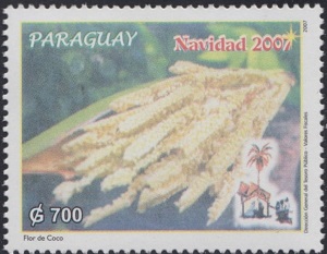 Paraguay 2007