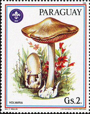 Парагвай - Paraguay (1986)