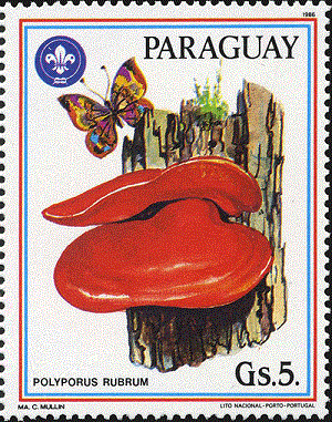 Paraguay 1986