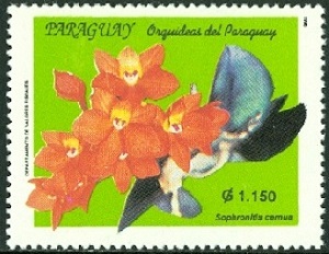 Paraguay 1996