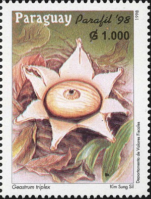 Paraguay 1998