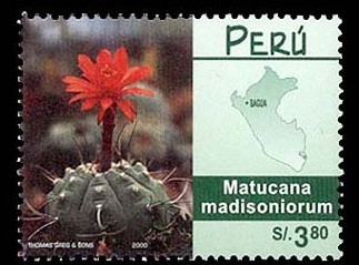 Перу - Peru (2000)