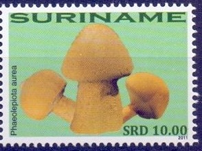 Surinam 2011