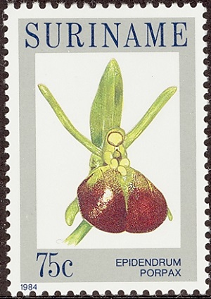 Surinam 1984