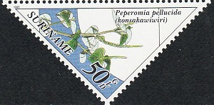 Surinam 1995