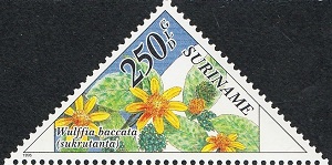 Suriname 1995