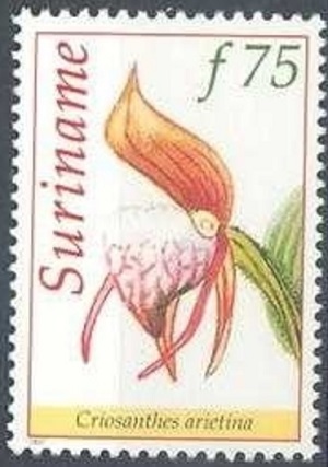 Suriname 1997