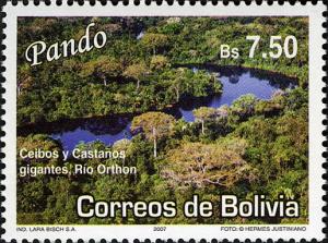 Боливия - Bolivia (Ceiba sp. - 2007)