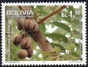 Bolivia 2013
