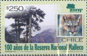 Чили - Chile 2007