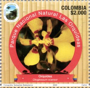 Колумбия - Columbia ( 2020)