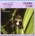 Колумбия - Columbia (2021)