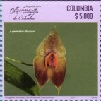 Колумбия - Columbia (2021)