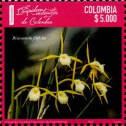Колумбия - Columbia (2022)