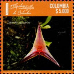 Колумбия - Columbia 2022