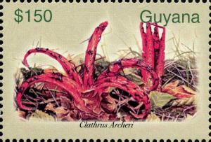 Guyana 2003