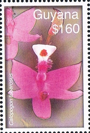 Гайана - Guyana (2007)