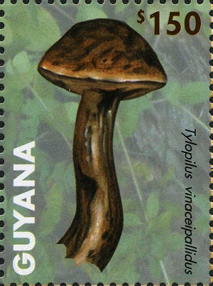 Guyana 2011